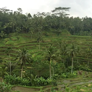 Pangkung House Ubud (Bali)